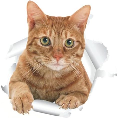 3D-Aufkleber mit einer roten Katze für Kinder, Tierhintergrund, Wandaufkleber für Büro-/Schlafzimmerdekoration