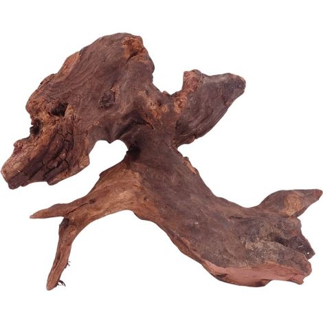 M Driftwood Flußwurzel Nr.4813 Holz Deko Aquascaping