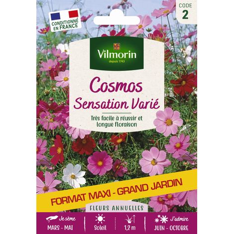 Vilmorin Cosmos Sensation Varié - Grand Modèle (1/2)