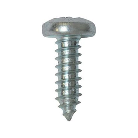 Vis a Tole Tete Inox A4 Cylindrique Bombee Pozidrive, 6.3mm x 19mm, DIN 7981, Zinc Blanc, Lot de 20