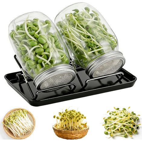 Frasco para germinados (1/2)