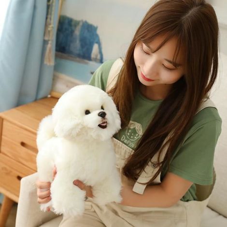 Peluche Bichon Frise 38x28x16cm – Chien en Peluche (1/3)