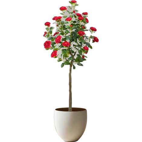 Árbol de camelia artificial, material de seda, altura: 150 cm, estilo árbol, uso exterior, colocación en el suelo. (1/5)