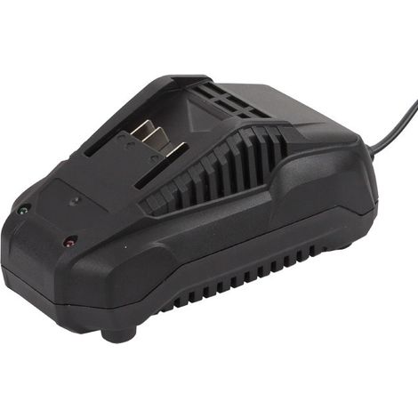 Caricabatterie rapido Hyundai 25030 20V