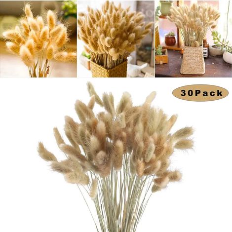 30 Stück Getrocknetes Pampasgras, Trockenblumen Blumenstrauß Deko, Pampasgras Natürlicher für Fotografie Hochzeit Weiß