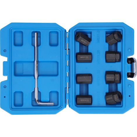 Jeu Extracteur de Goujons 9 Pièces - Filetages Protégés M10x1.5 M10x1.25 M8x1.25 M6x1.0 (1/5)