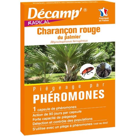 Phéromone contre le charançon rouge du palmier – Insecticide biologique – Utilisation avec piège – Action 4 à 6 semaines par capsule – Décamp'