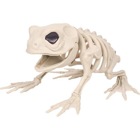 Squelette De Grenouille - Décoration Halloween - Pour Intérieur Bar Maison Fête Thème Effrayant - 1 Pièce