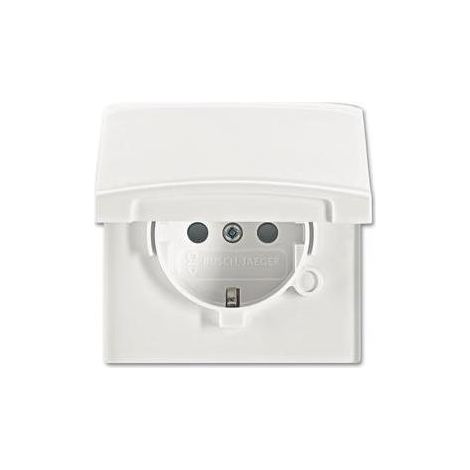Busch-Jaeger Schuko-Steckdoseneinsatz IP44 alpinweiß 20 EUGKB-34-101 (1/5)