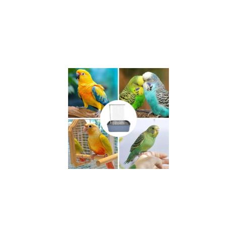 Doccia automatica per uccelli e pappagalli, vasca con sistema di circolazione dell'acqua per animali domestici.