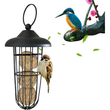 Mangeoire à oiseaux, mangeoire à oiseaux en métal à l'épreuve des écureuils mangeoire à oiseaux fer à suspendre automatique porte-boule de graisse outil d'alimentation 2010.5cm (1/5)