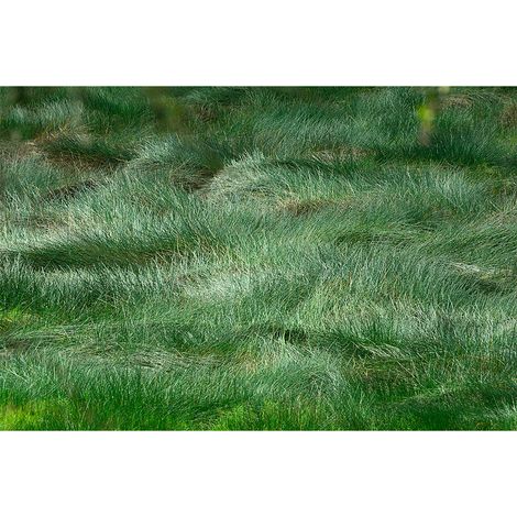 Papier peint panoramique verte nature Tapisserie panoramique trompe l'oeil herbe Papier peint panoramique pour chambre (1/2)