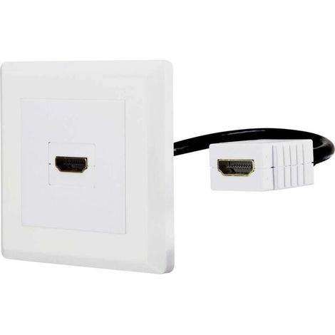 Trywise RF-4538136 HDMI Adaptateur [1x HDMI femelle - 1x HDMI femelle] blanc contacts dorés 15.00 cm A807862 (1/4)