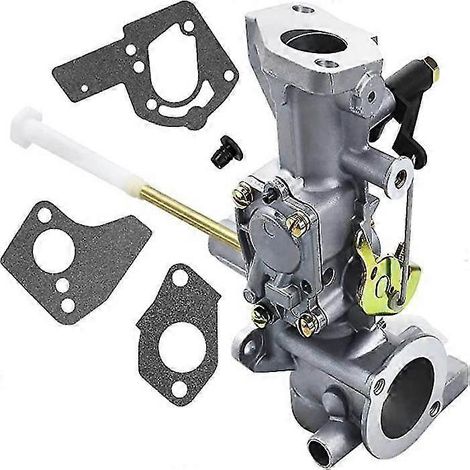 Carburateur 498298 compatible avec les modèles 692784, 495951, 495426, 112202, 112232, 134202, 137202, 133212 et 130202 (5 CV - sy). (1/3)