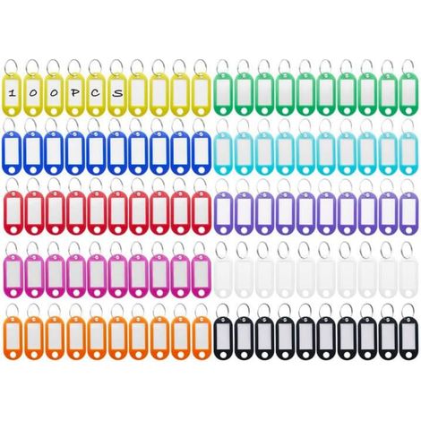 Porte Clés Étiquettes de Clé en Inscriptibles Clef Couleur Couleurs d'identification 100 Pièces Plastique (1/5)