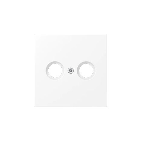 Jung Cache pour prises d'antenne 1x, thermoplastique laqué, série LS, blanc neige mat LS 990 TV WWM