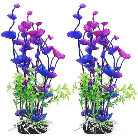 Les 2 nouvelles plantes d'aquarium (1/3)