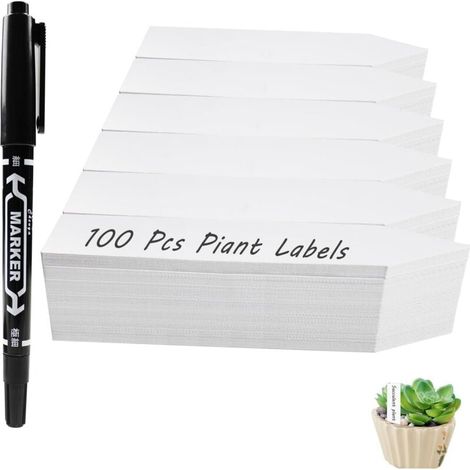 Paquet de 100 PièCes Etiquette Jardin, Plastique ImperméAble Etiquette Potager, Pour L'Identification Des Plantes D'Art de Jardin Etiquettes Potager. 10x2 cm (1/4)
