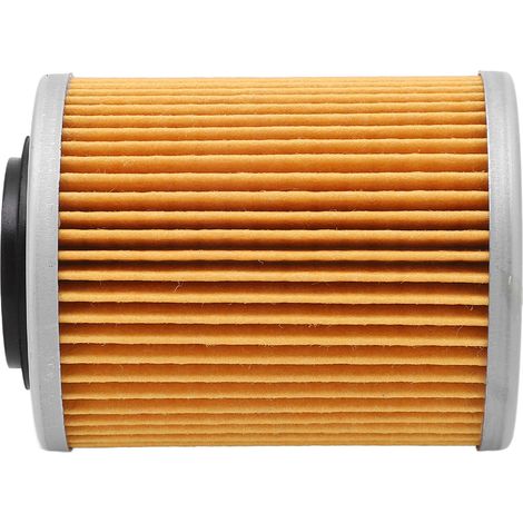 Filtre à huile moteur cylindrique, filtre à carburant de remplacement pour RYKER Ally Edition 900 ACE (1/5)