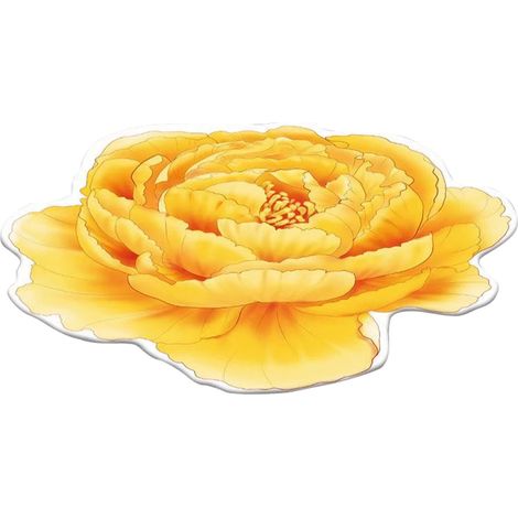 Tapis Floral En Velours Cristal - Diamètre 60 Cm - Motif 3D Transfert Chaleur - Pour Salon Chambre Bureau Balcon (1/5)