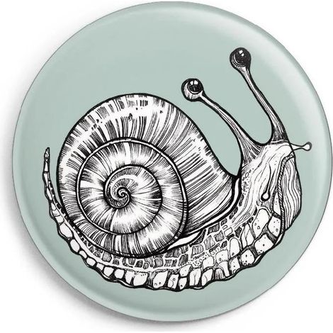 Schneckenmagnet