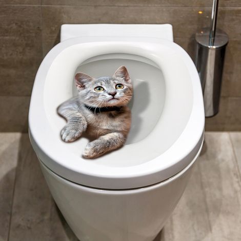 Toilettensitz-Aufkleber (30 x 35 cm)