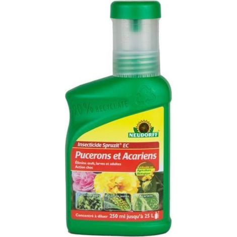 Insetticida Neudorff Spruzit concentrato 250ml protezione completa