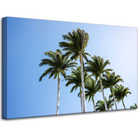 Lienzo impreso Naturaleza Palmeras 80x50 cm