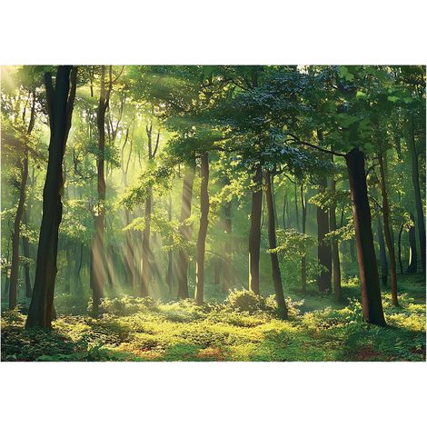 Papier peint avec motif forêt et soleil décoration murale – 150 x 105 cm Wallarena (1/4)