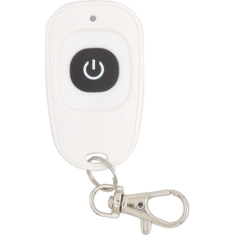 2pcs Télécommande sans fil 433Mhz Transmetteur Porte-clés 1527 Code d'apprentissage 1Bouton, à utiliser avec le récepteur DieseRC (EV1527)
