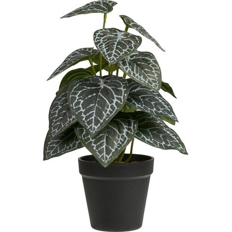 Alocasia plante artificielle hauteur 33 cm verte. (1/4)