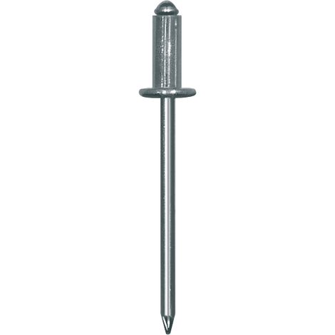 RESTAGRAF - Agrafes pour vehicules type ford - 4080 - Ce produit de marque Restagraf est neuf.