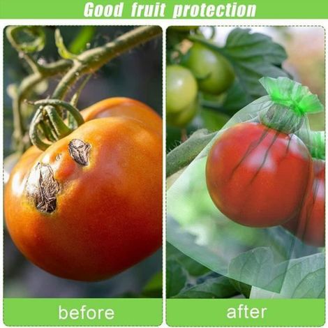 Sac de protection pour fruits - Lot de 100 pcs - Vert - Polythène - 10x15 cm - Réutilisable - Respirant (1/4)