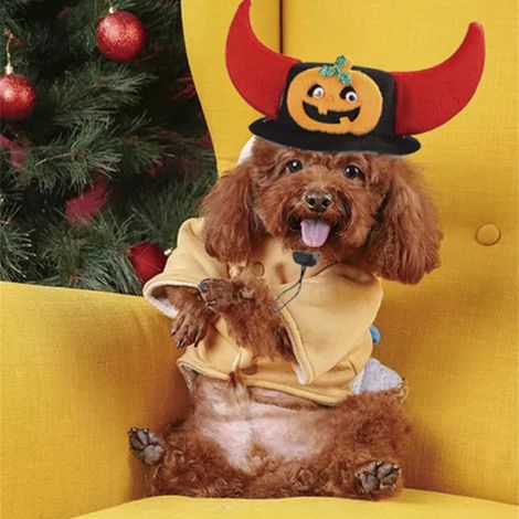 Lot de 3 chapeaux de chauve-souris mignons pour Halloween, ajustables, pour chiens et chats, accessoire photo cosplay pour animaux. (1/3)