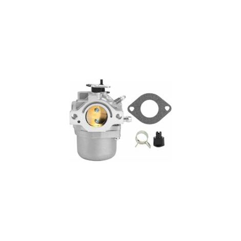 Carburateur pour Walbro LMT 5-4993, Briggs & Stratton 799728, 498027, 499161, 498231, 494502, 494392, 495706, 498134, 496592, 699318, 699737, 699856, 699896-28V707