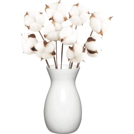10 Pack Fleurs de Coton Sechee Naturelle Fleurs Sechees Tige Coton Fleur Naturel Fausses Branches Coton Fausses Plantes Décoration pour Balcon Maison Table Composition Florale (1/5)