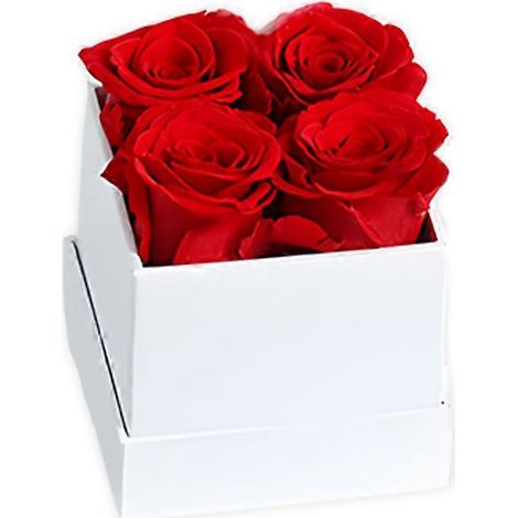 Rose éternelle préservée rose immortelle décoration colorée à faire soi-même pour un anniversaire un mariage ou Thanksgiving - 4 têtes Blanc et rouge (1/5)