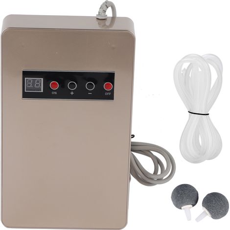 Générateur d'ozone 50Hz 600mg/h pour maison, eau, aliments, légumes (Or) avec prise UE 220V (1/5)