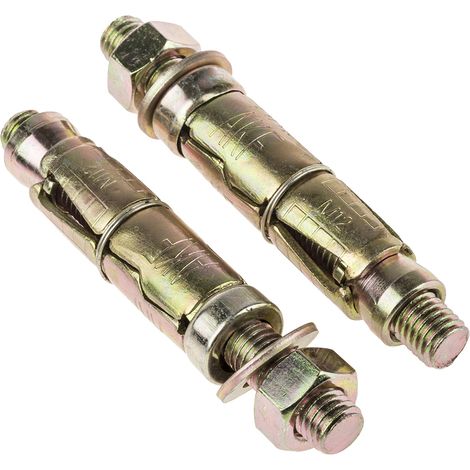Bouclier d RS PRO, en Acier au carbone M12, 20mm x 75mm ( Prix pour Sachet de 10 )