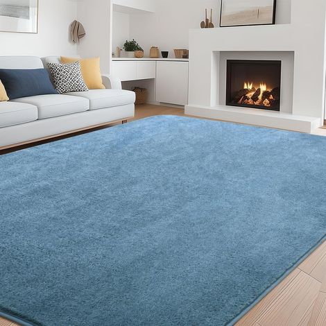 1 Tapis Microfibre 200x300 Cm Couleur Unie Antidérapant Lavable Pour Salon Chambre (1/5)
