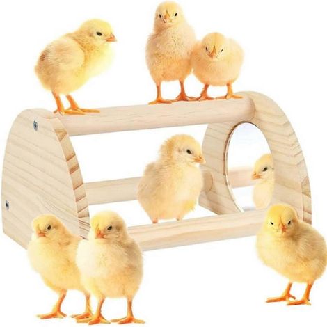 Poule perchoir avec miroir, Strong Chick Jungle Gym Roosting Bar, poule jouet pour Coop et Brooder, dressage perchoir (1/5)