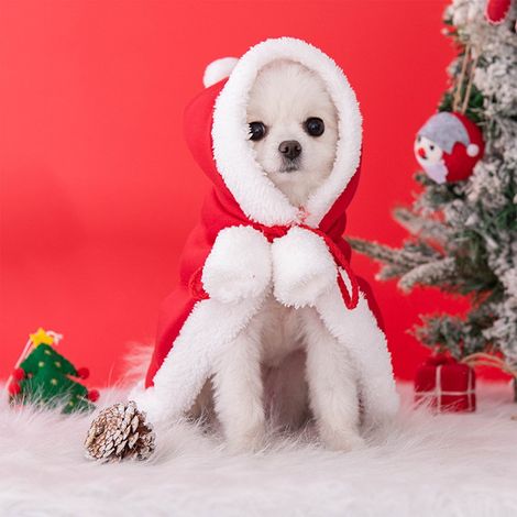 Robe De Noel - Pour Chien Et Chat - Velours Polyester - Rouge - Costume Fête D'hiver - 1 Pièce (1/5)
