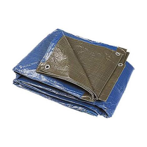 Bâche de protection professionnelle 5x8m