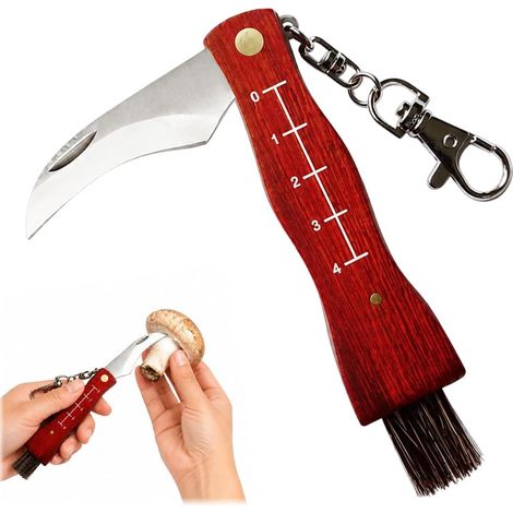 Mini Mushroom Knife with Folding Brush, Stainless Steel Blade with Scalable Red Pear Tree, Portable Tool for Collecting Mushrooms, 4 cm (1/5)