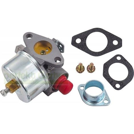 kit carburateur pour Craftsman Edger PC142795 / Dell'Orto FHPA 20 (1/5)