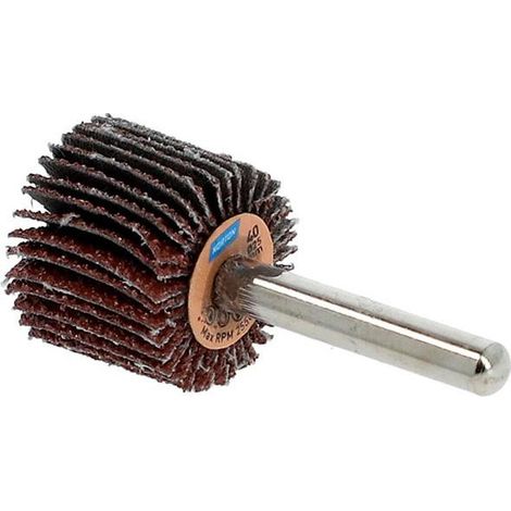 Disco de láminas en varilla R207Plus 25x20x6 P80 (Pack de 10)