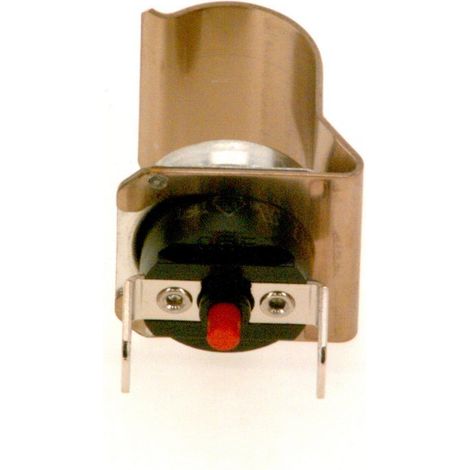 BOSCH Thermostat, 8738715576 (1/2)