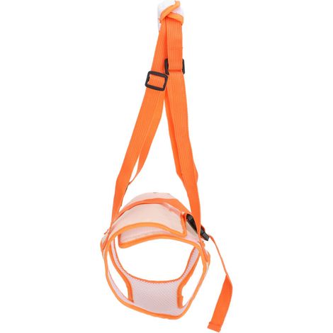 Harnais de Soutien pour Chien Blessé, Ceinture d'Assistance aux Pattes Arrière pour Animal Handicapé ou Âgé (1/4)