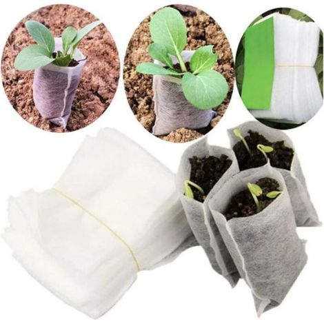 Sachets de semis biodégradables - - Tissu non tissé - Biodégradables - Petit format - Lot de 500 (1/5)