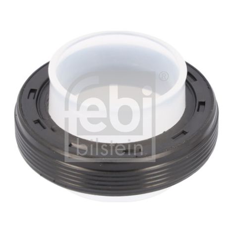 Mastic 38238 FEBI (1/2)